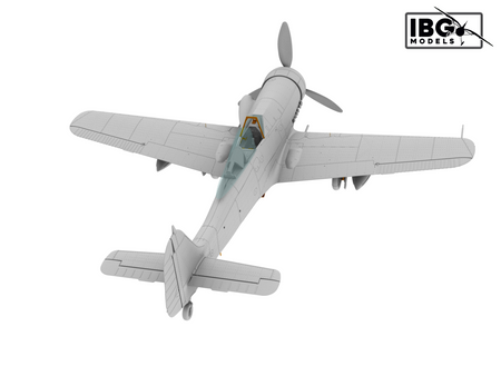 IBG 72540 FW 190D-15 torpedo bomber