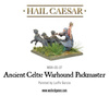 Hail Caesar Ancient Celts Warhound Packmaster