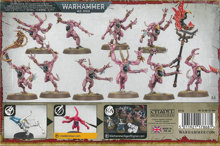 Disciples of Tzeentch Pink Horrors