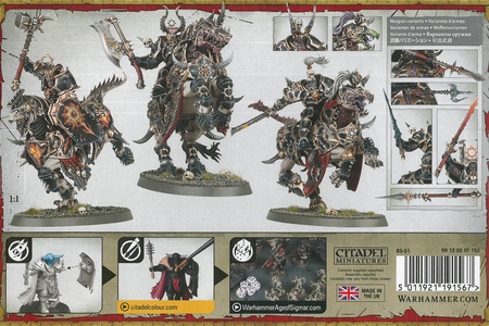 Slaves To Darkness Varanguard Knights of Ruin