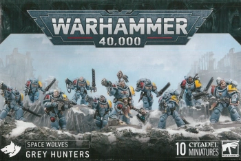 Space Wolves Grey Hunters