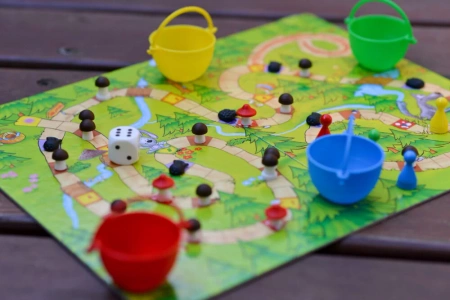 Grzybobranie / Rajd Samochodowy