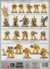 Imperial Fists Combat Patrol