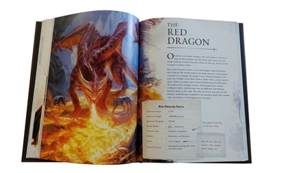 Dungeons&Dragons The Practically Complete Guide to Dragons - przewodnik po smokach