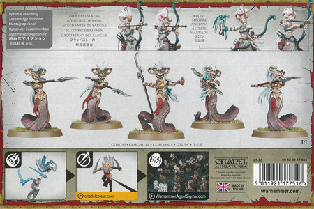 Daughters of Khaine Blood Sisters / Blood Stalkers / Gorgai