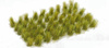 Paint Forge - Tufts 12mm - Marsh