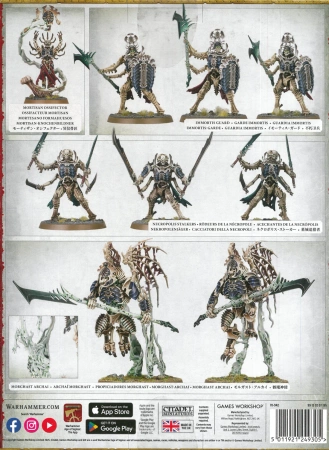 Ossiarch Bonereapers Spearhead Mortisan Elite
