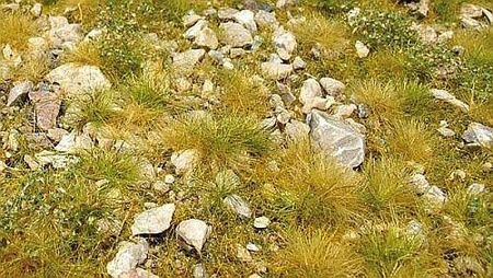 MIG 8351 Stony mountain ground