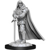 D&D Human Male Paladin - Nolzur's Miniature