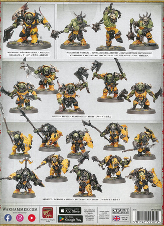 Orruk Warclans Spearhead Ironjawz Bigmob