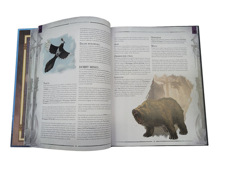 Warhammer FRP 4 Edycja - Wewnętrzny Wróg 3: Szara Eminencja Niezbędnik