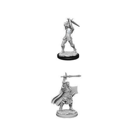 D&D Male Human Paladin - Nolzur's Miniature
