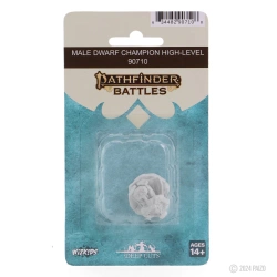Pathfinder Deep Cuts Male Dwarf Champion