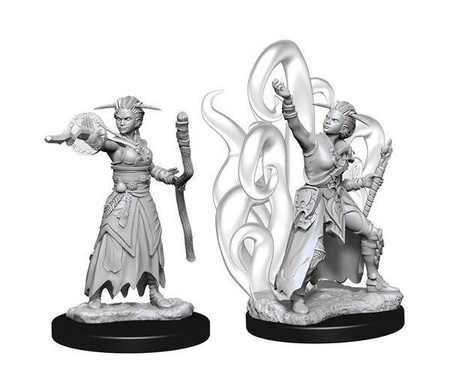 D&D Female Human Warlock - Nolzur's Miniature
