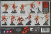 Kill Team T'au Empire Vespid Stingwings