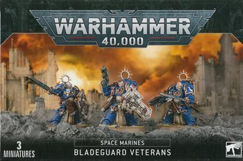 Space Marines Bladeguard Veterans