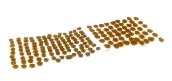 Paint Forge - Tufts 2mm - Rusty Ground