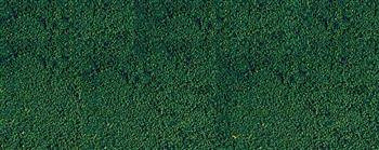 Heki 1613 Listowie (mikro-listowie) sosnowa zieleń