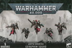 Adepta Sororitas Seraphim Squad / Zephyrim Squad