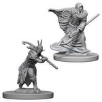 D&D Male Elf Druid - Nolzur's Miniature