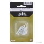 WizKids Deep Cuts Male & Female Roadwarden