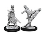 D&D Male Half-Elf Monk - Nolzur's Miniature