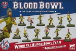 Blood Bowl Wood Elf Team / The Athelorn Avengers - drużyna leśnych elfówelfów