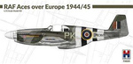 Hobby 2000 P-51B Mustang RAF Aces over Europe    