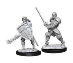 D&D Male Human Fighter - Nolzur's Miniature