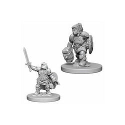 D&D Dwarf Female Paladin - Nolzur's Miniature