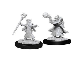 D&D Gnome Male Wizard - Nolzur's Miniature