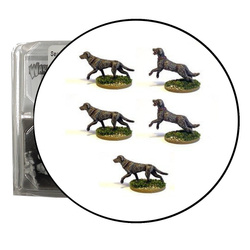 Hail Caesar Ancient Celts Warhound Pack (5)