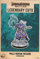 Pathfinder Legendary Cuts Male Human Wizard