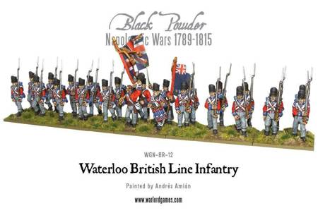 Black Powder Waterloo British Line Infantry