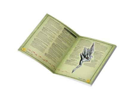 Cień Władcy Demonów RPG Straszliwe Piękno + PDF