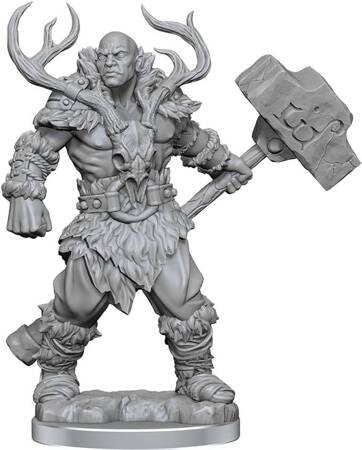 Dungeons&Dragons Frameworks Goliath Barbarian Male