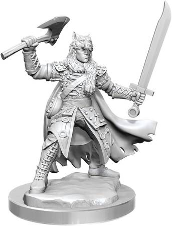 Dungeons&Dragons Frameworks Male Half-Elf Ranger