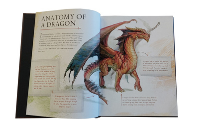 Dungeons&Dragons The Practically Complete Guide to Dragons - przewodnik po smokach