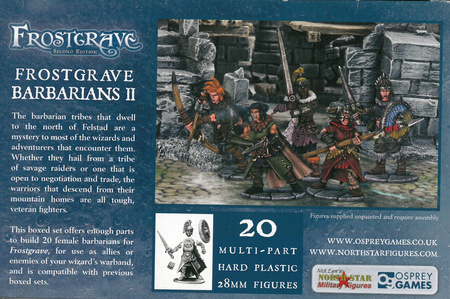 Frostgrave Barbarians II (Women)