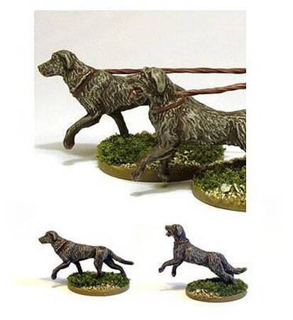 Hail Caesar Ancient Celts Warhound Pack (5)