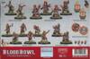 Blood Bowl Chaos Dwarf Team