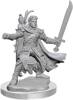 Dungeons&Dragons Frameworks Male Half-Elf Ranger