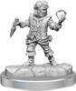 Dungeons&Dragons Frameworks Male Halfling Rogue