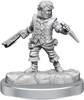 Dungeons&Dragons Frameworks Male Halfling Rogue