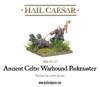 Hail Caesar Ancient Celts Warhound Packmaster