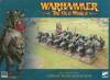 Orcs&Goblin Tribes Wolf Rider Mob